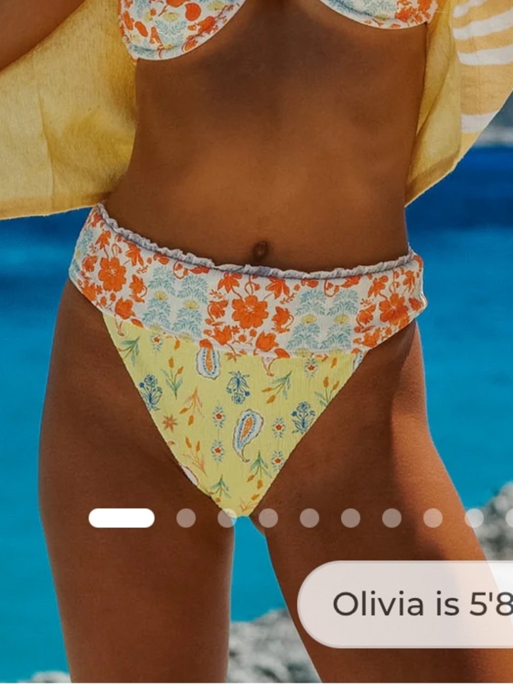 NWT Dippin' Daisy's Sydney Cheeky Bikini Bottoms